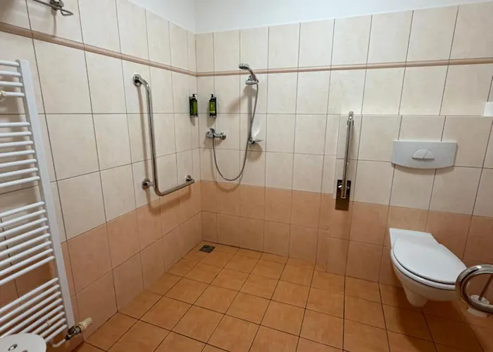 Ξενοδοχείο U Karla 3*